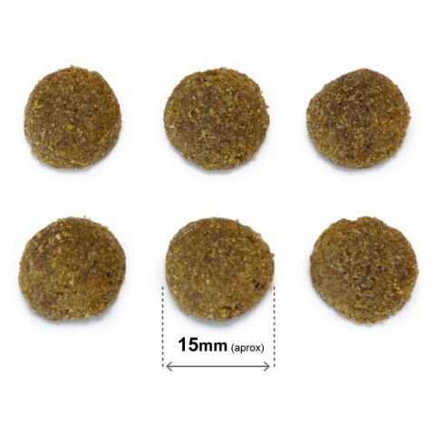 Original wieprzowina iberyjska 20 kg ARQUIVET Original wieprzowina iberyjska 20 kg ARQUIVET