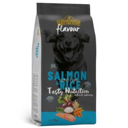 Divinus FLAVOUR łosoś z ryżem 18 kg