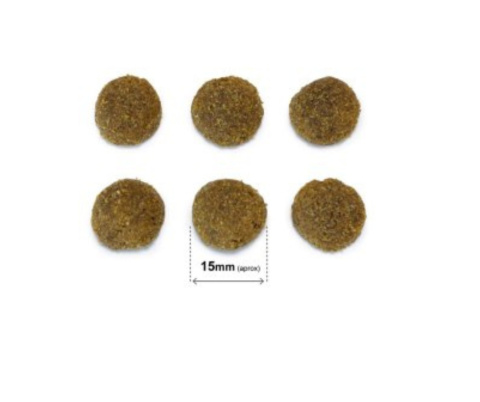 Original wieprzowina iberyjska 2 X 20 kg ARQUIVET Original wieprzowina iberyjska 2 X 20 kg ARQUIVET