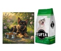 Rufia Junior Dog dla szczeniąt 20kg